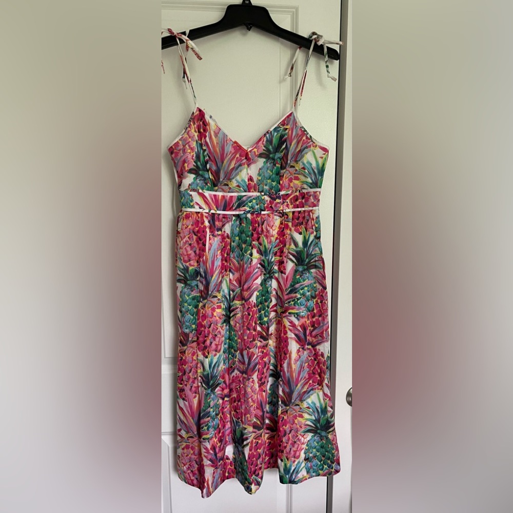 J.Crew Dress
